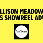 Allison Meadows Gives Showreel Advice